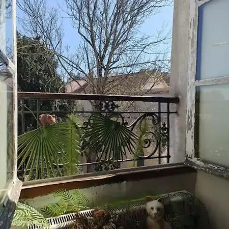 Notre Dame Párizs